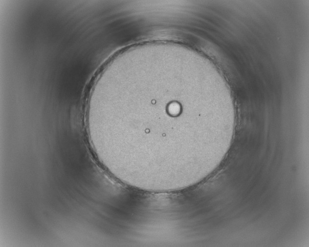 X0000071910828200607212040