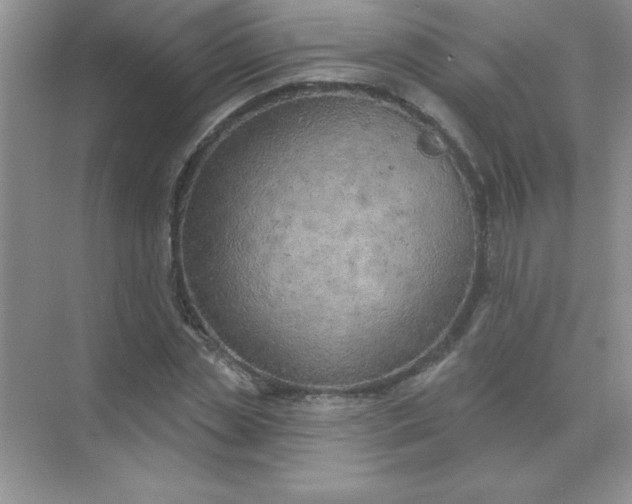 X0000071910829200607212040