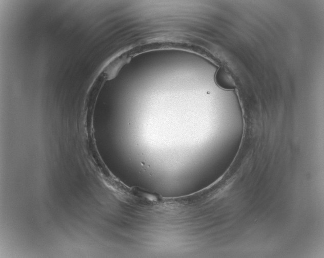 X0000071910830200607212040