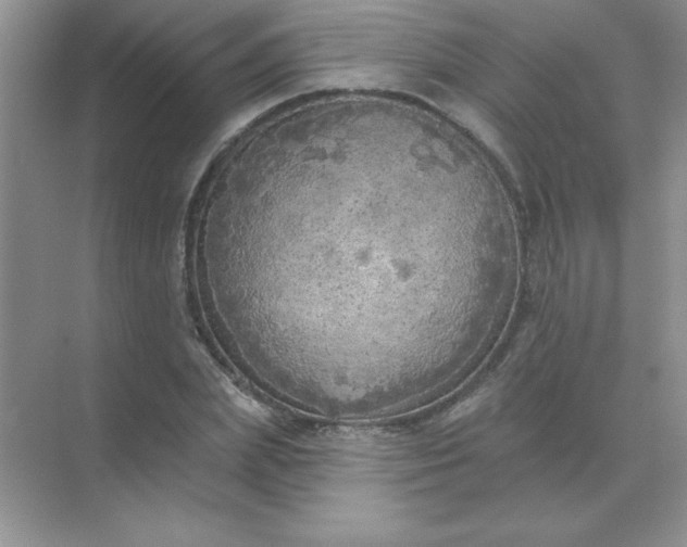 X0000071910831200607212040