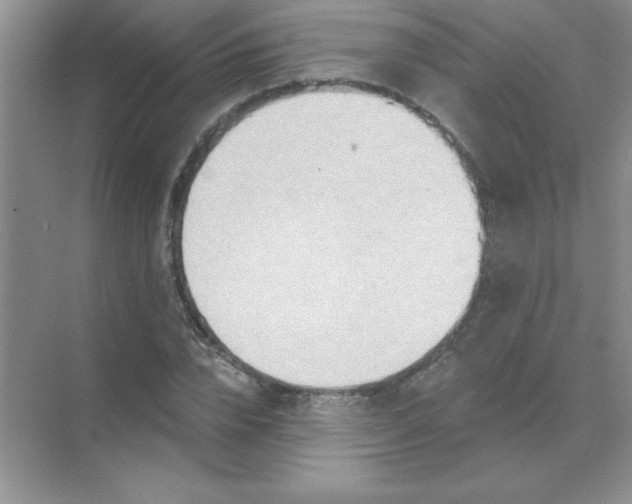 X0000071910832200607212040