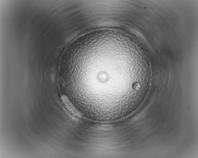 X0000071910833200607212040