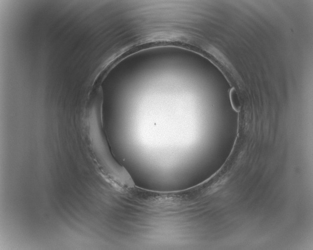 X0000071910834200607212040