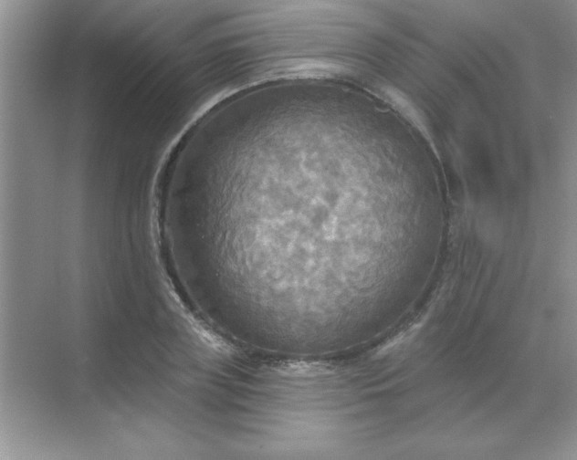 X0000071910835200607212040