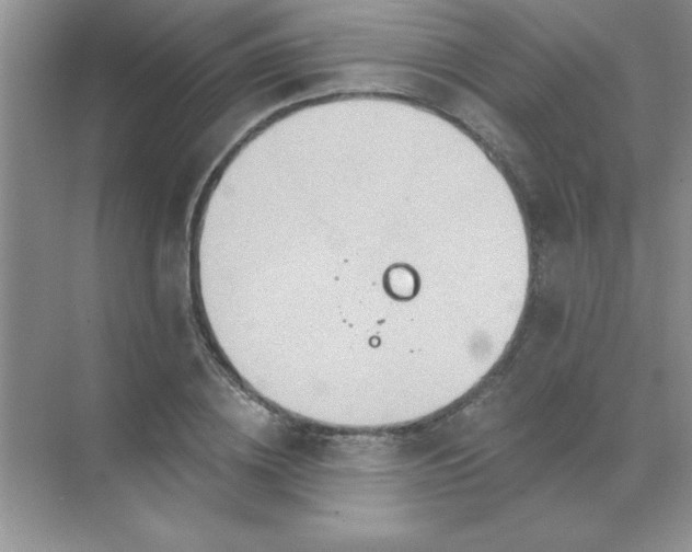 X0000071910836200607212040