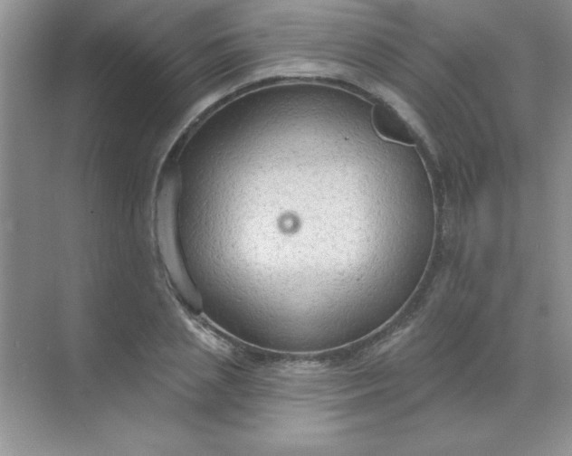 X0000071910837200607212040