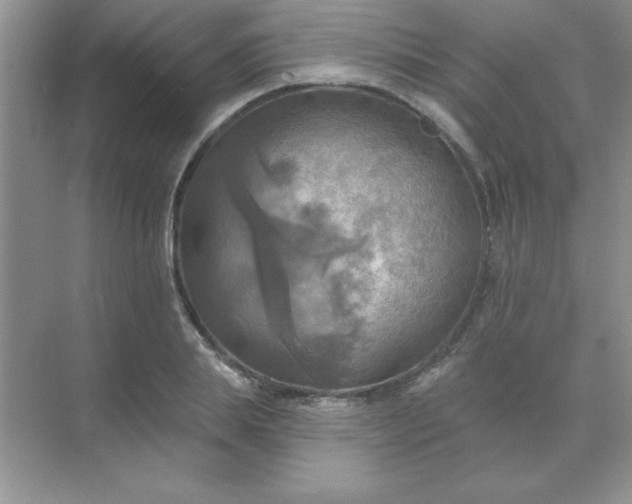 X0000071910839200607212040