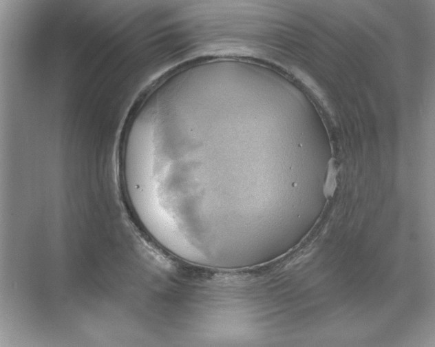 X0000071910840200607212040