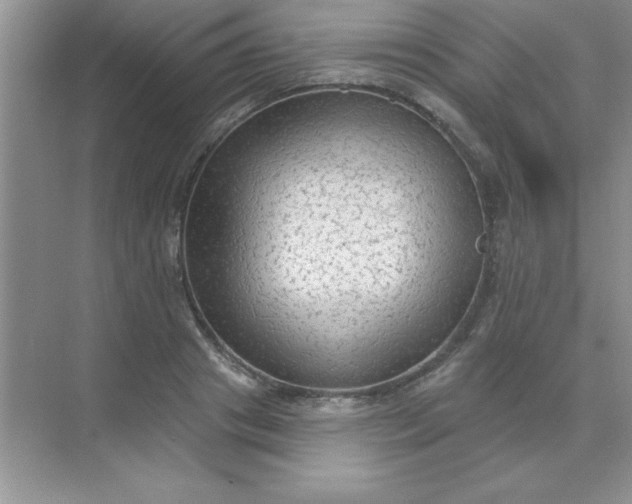 X0000071910841200607212040