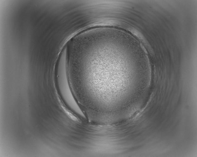 X0000071910842200607212040