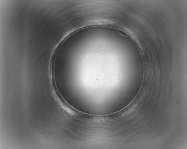 X0000071910843200607212040