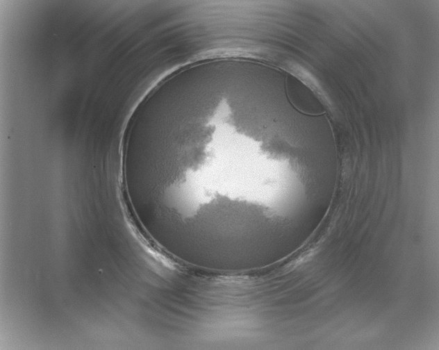 X0000071910844200607212040