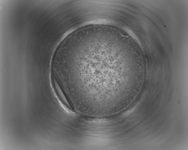 X0000071910845200607212040