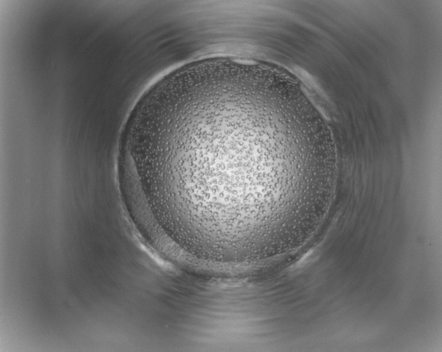 X0000071910846200607212040