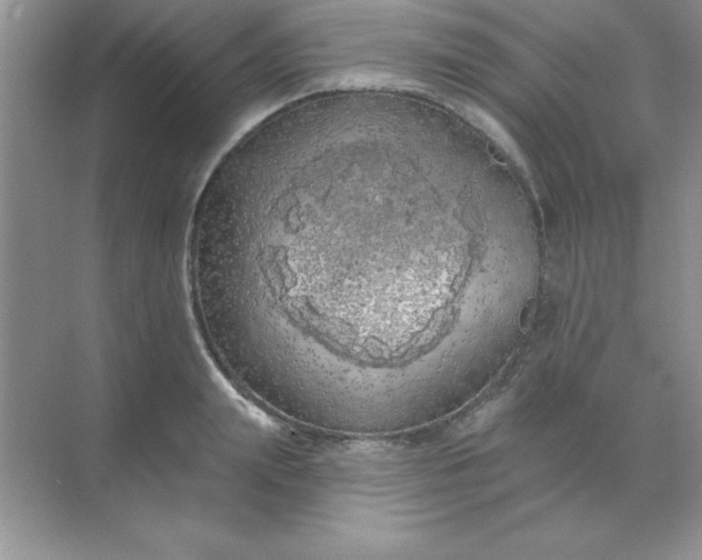 X0000071910847200607212040