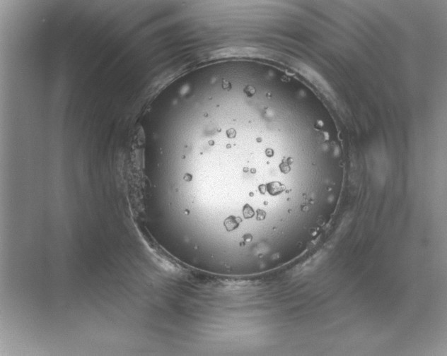 X0000071910849200607212040