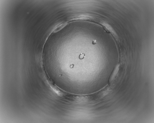 X0000071910850200607212040