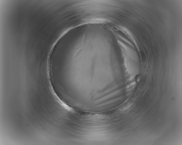 X0000071910851200607212040