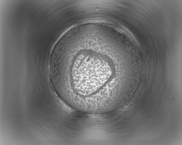 X0000071910852200607212040