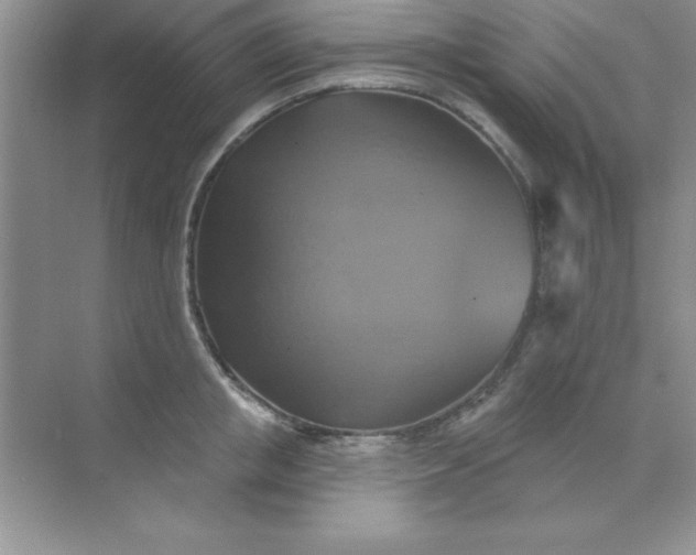 X0000071910853200607212040