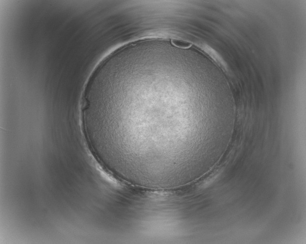 X0000071910854200607212040