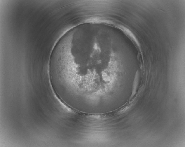 X0000071910855200607212040