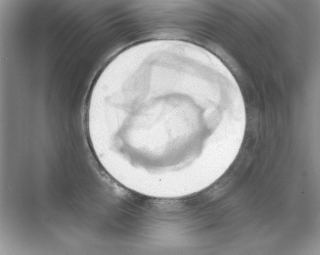 X0000071910856200607212040