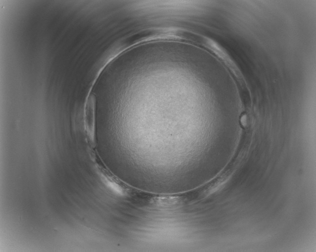 X0000071910858200607212040