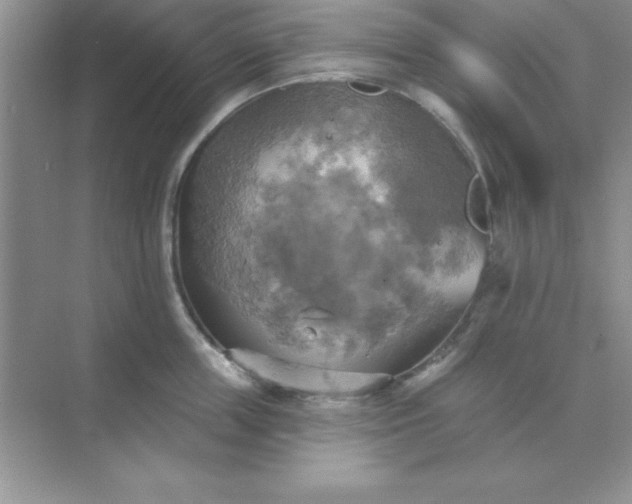 X0000071910859200607212040