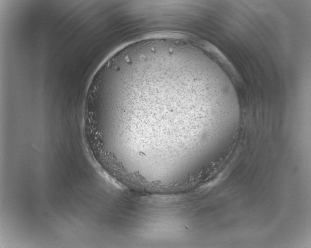 X0000071910860200607212040