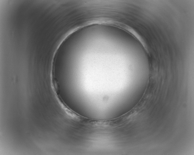 X0000071910861200607212040