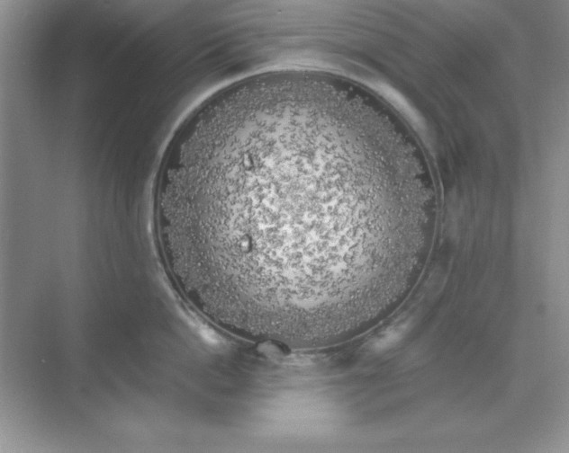 X0000071910862200607212040