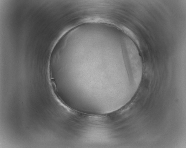 X0000071910863200607212040