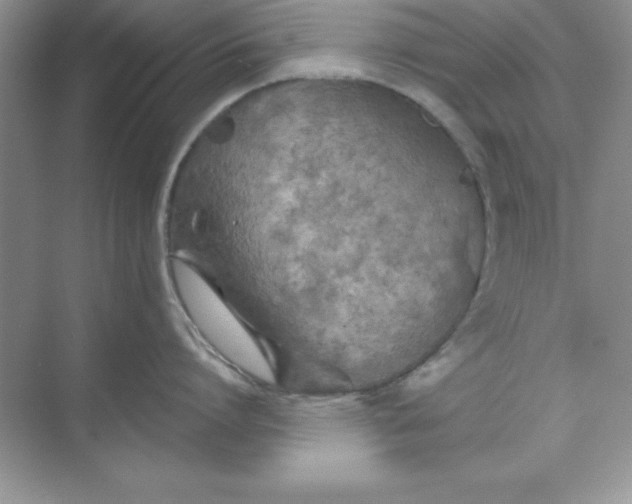 X0000071910864200607212040