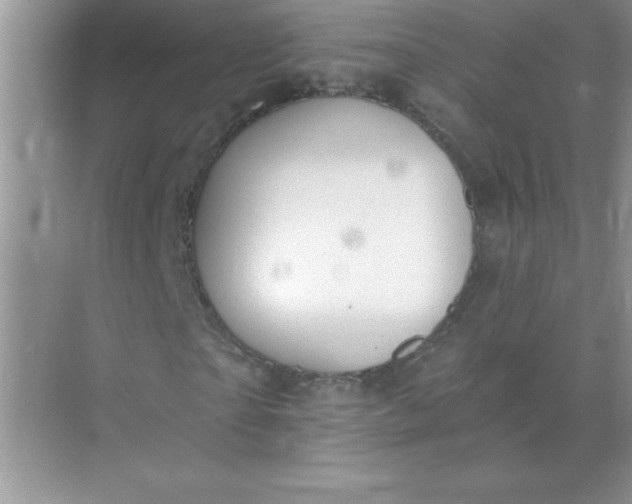 X0000071910865200607212040