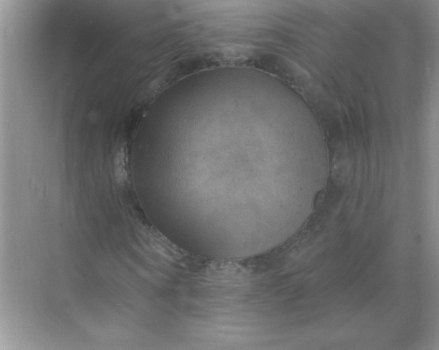 X0000071910866200607212040