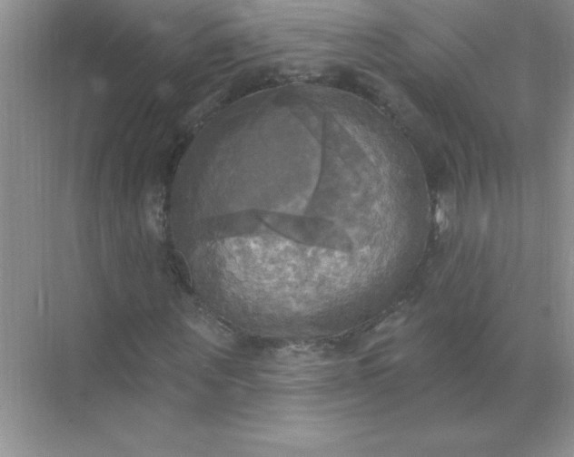 X0000071910867200607212040