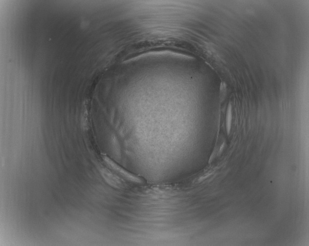 X0000071910868200607212040