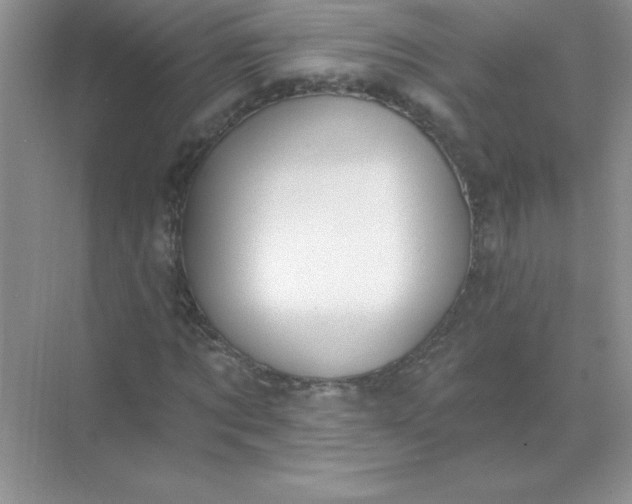 X0000071910869200607212040