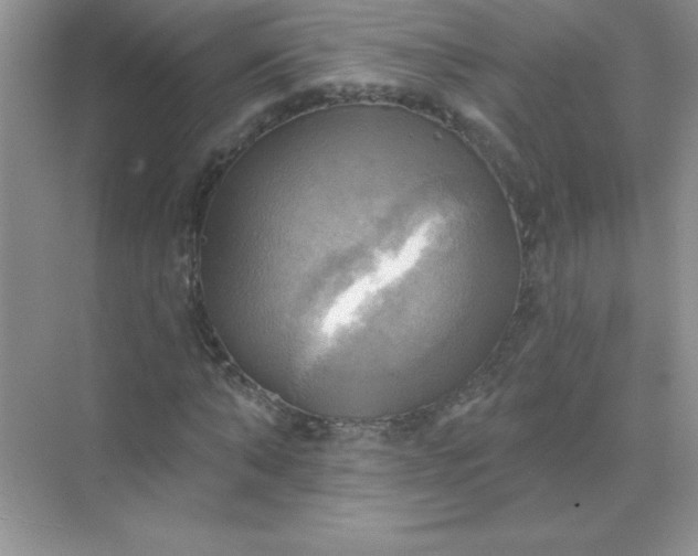 X0000071910870200607212040