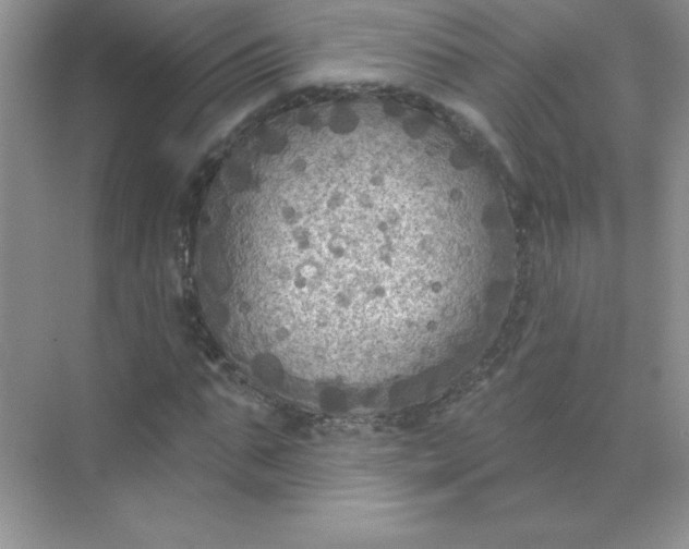 X0000071910871200607212040