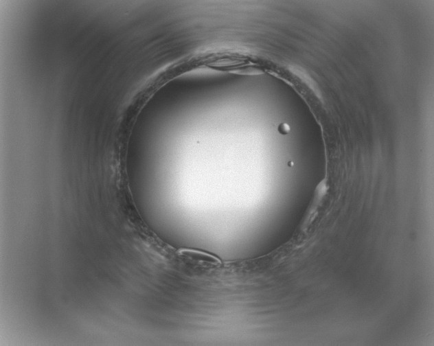 X0000071910872200607212040