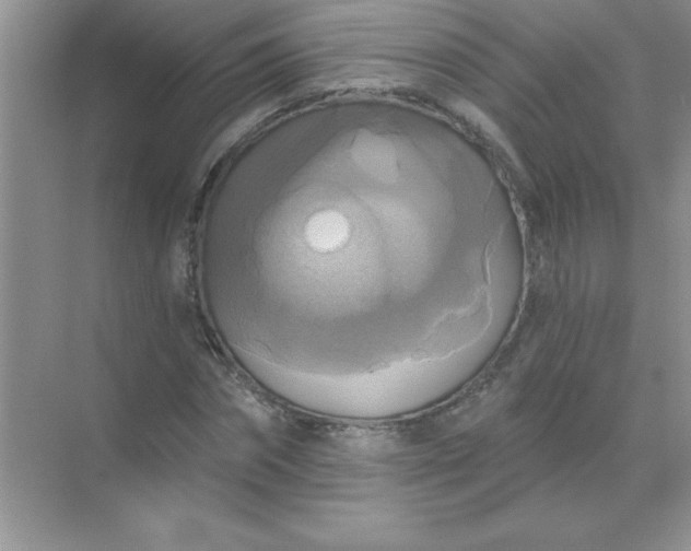 X0000071910874200607212040