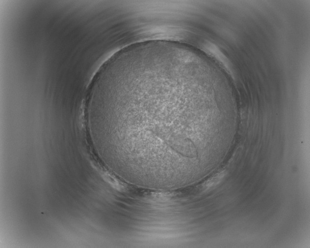 X0000071910875200607212039