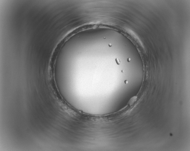 X0000071910876200607212039