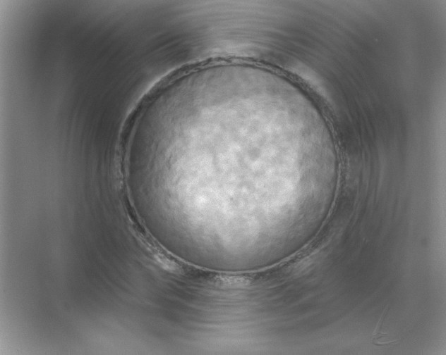 X0000071910878200607212039