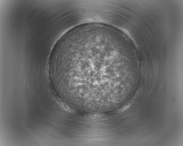 X0000071910879200607212039