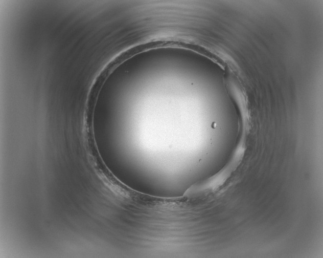 X0000071910880200607212039