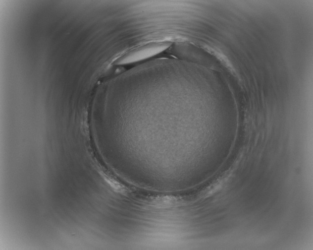 X0000071910881200607212039