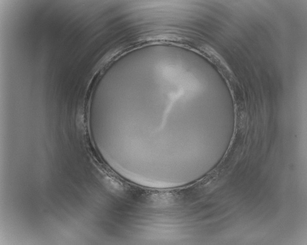 X0000071910882200607212039